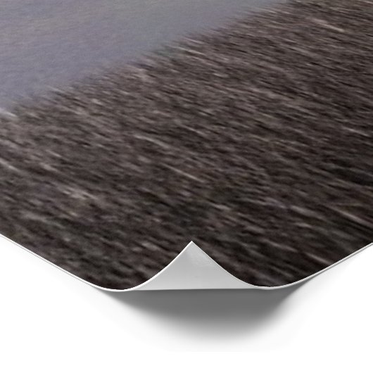 The Knights Templar and The Gran Poster (Ecke)