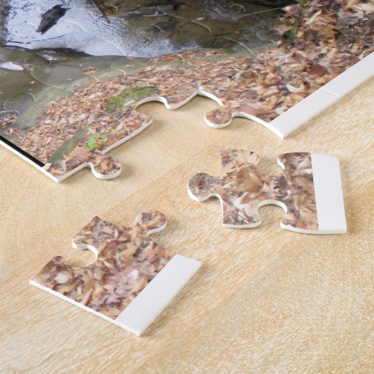 The Ladders, Turkey Run State Park Puzzle (Seite)