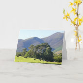The Lake District-Keswick Karte (Gelbe Blume)