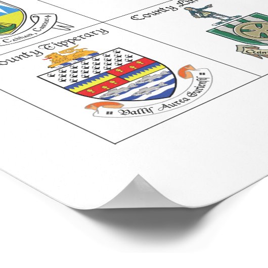 The Landkreises of Ireland Poster (Ecke)