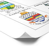 The Landkreises of Ireland Poster (Ecke)