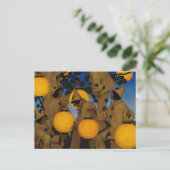 The Lantern Bearers, 1908 von Maxfield Parrish Postkarte (Stehend Vorderseite)