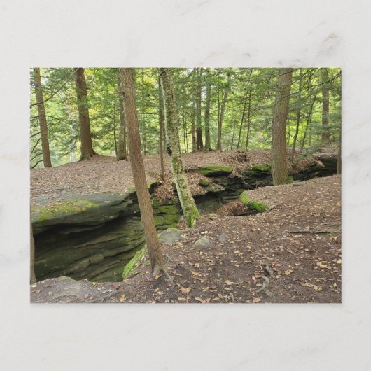 The Ledges, Cuyahoga Valley Nat'l Park OH Postkart Postkarte (Vorderseite)