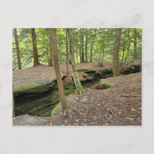 The Ledges, Cuyahoga Valley Nat'l Park OH Postkart Postkarte