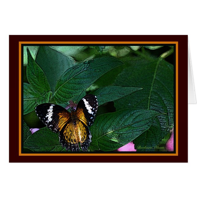 The Leopard Lacewing (Cethosia cyane): Butterfly (Vorderseite (Horizontal))