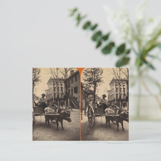 The Lightning Express, Savannah, Ga c. 1886 Postkarte (Stehend Vorderseite)