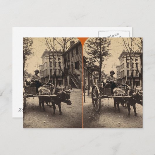 The Lightning Express, Savannah, Ga c. 1886 Postkarte (Vorne/Hinten)