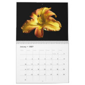 The Lily & the Rose Calendar Kalender (Jan 2027)