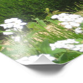 The Little Bench - Kodak Pro Foto Print Satin (Ecke)