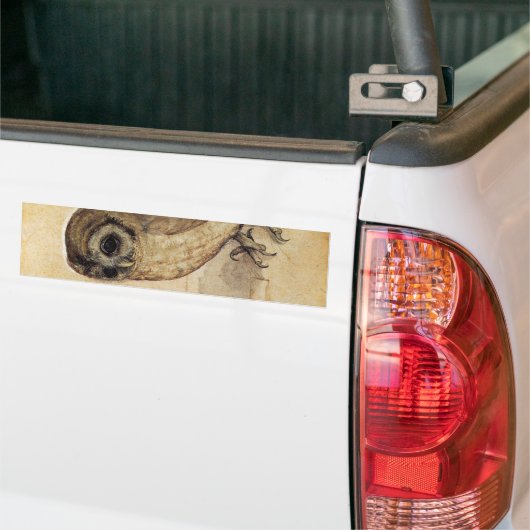 The Little Owl (von Albrecht Durer) Autoaufkleber (Auf Lkw)