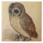 The Little Owl (von Albrecht Durer) Fliese (Vorderseite)