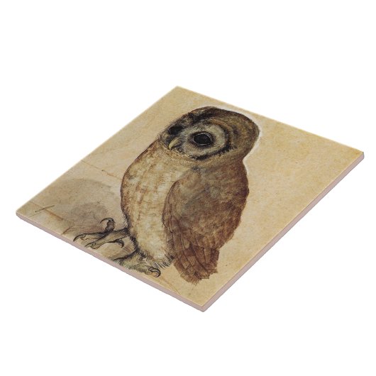 The Little Owl (von Albrecht Durer) Fliese (Seite)