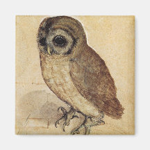 The Little Owl (von Albrecht Durer)