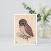 "The Little Owl" von Albrecht Dürer Postkarte (Stehend Vorderseite)