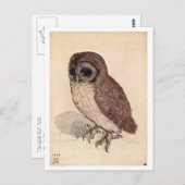 "The Little Owl" von Albrecht Dürer Postkarte (Vorne/Hinten)