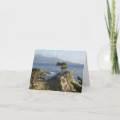 The Lone Cypress Karte (Vorderseite)