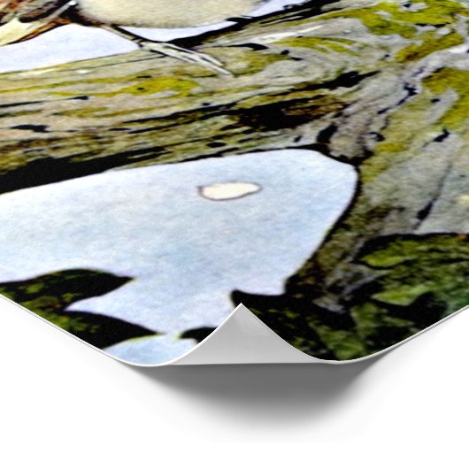 The Long-Tailed Tit, Edward Julius Detmold Poster (Ecke)