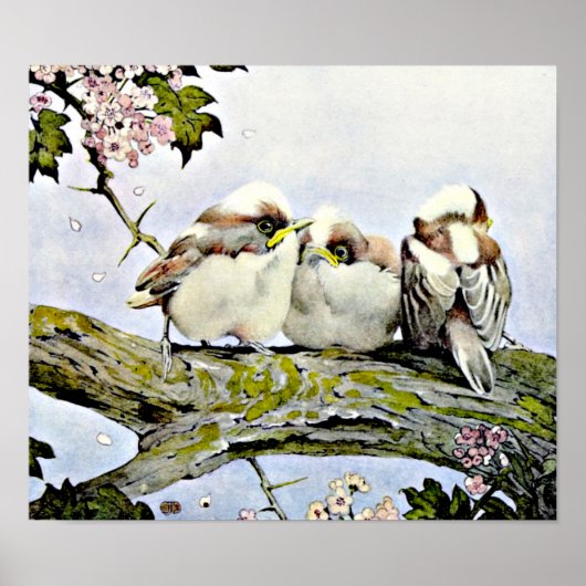 The Long-Tailed Tit, Edward Julius Detmold Poster (Vorne)