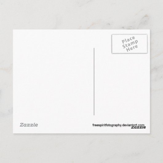 .::The Lookout Tree::. Postkarte (Rückseite)