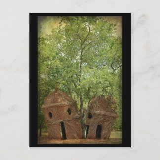 .::The Lookout Tree::. Postkarte