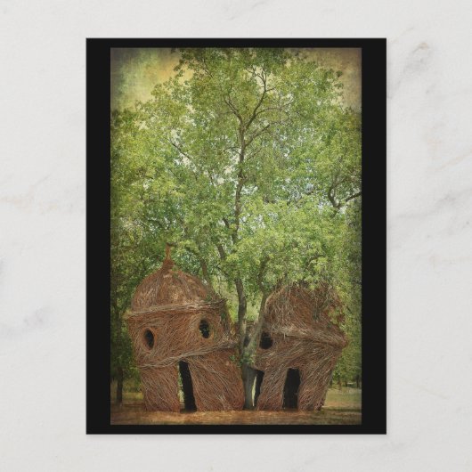 .::The Lookout Tree::. Postkarte (Vorderseite)