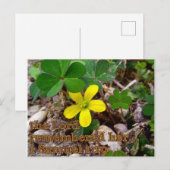 The Lord Remembered Her Bible Verse Postcard Postkarte (Vorne/Hinten)