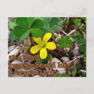 The Lord Remembered Her Bible Verse Postcard Postkarte