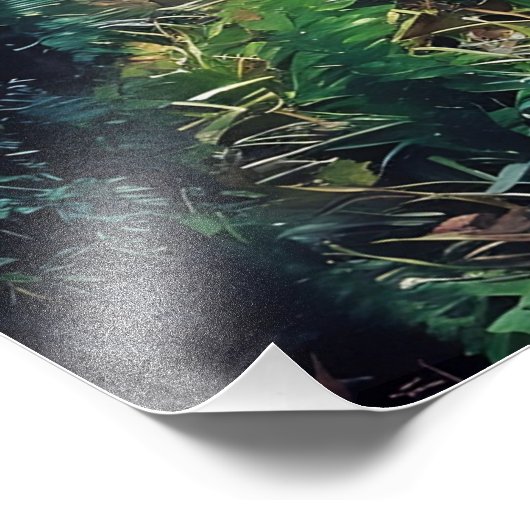 The Magic Passage Fotodruck (Ecke)