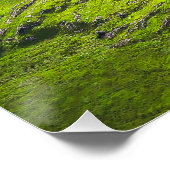 The Majestic Expanse of Ladies' View Poster (Ecke)