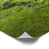 The Majestic Expanse of Ladies' View Poster (Ecke)