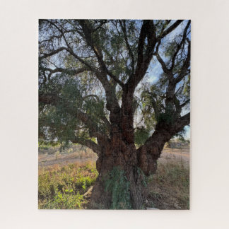 The Majestic Guardian: California Pepper Tree Puzzle