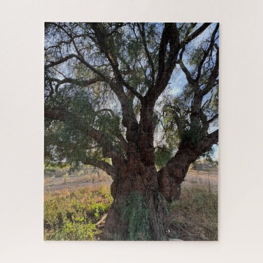 The Majestic Guardian: California Pepper Tree Puzzle (Vertikal)