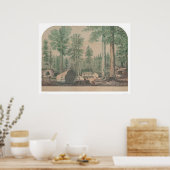 The Mammoth Trees of California (1191) Poster (Küche)