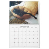 The Marshalls 2026 Calendar Kalender (Feb 2026)