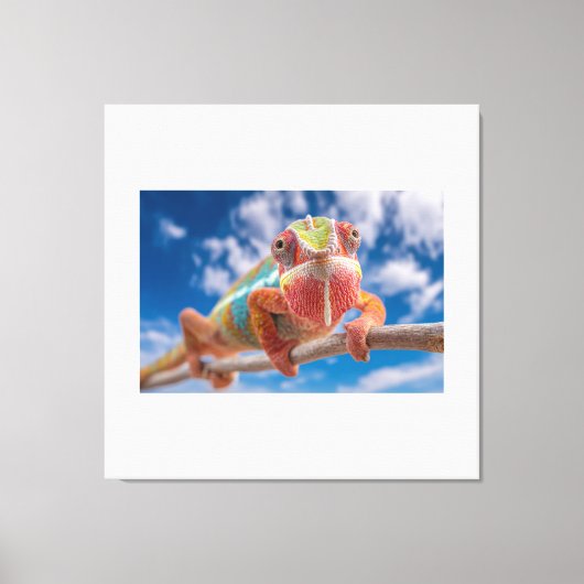 The Master of Tropical Colors Leinwanddruck (Vorderseite)