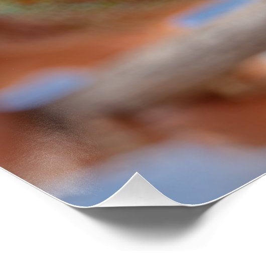 The Master of Tropical Colors Poster (Ecke)