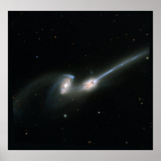 The Mäuse (NGC 4676)- Colliding Galaxies Poster