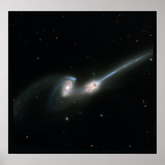 The Mäuse (NGC 4676)- Colliding Galaxies Poster (Vorne)