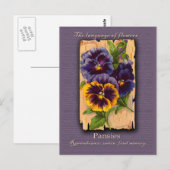 The Meaning of the Pansy Postkarte (Vorne/Hinten)