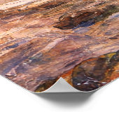 The Merman by John William Waterhouse Poster (Ecke)