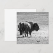 The Mighty Buffalo  Dankeskarte (Vorne/Hinten)