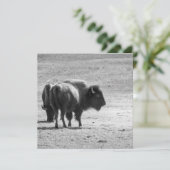 The Mighty Buffalo  Dankeskarte (Stehend Vorderseite)