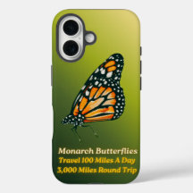 The Mighty Monarch Butterfly 