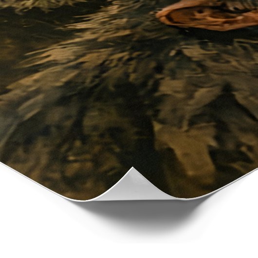 The Monkey King Poster (Ecke)