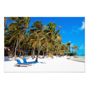 The Moorings Resort, Marathon, Key West, 2 Fotodruck