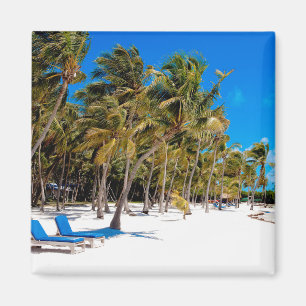 The Moorings Resort, Marathon, Key West, 3 Magnet