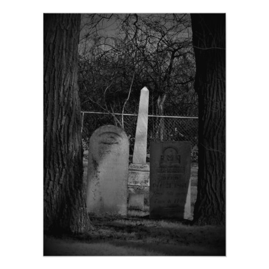 "The Morbid Neugierig" Fotodruck (Vorne)