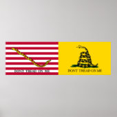 The Navy Jack & Gadsden Flags - Circa 1775-76 Poster (Vorne)