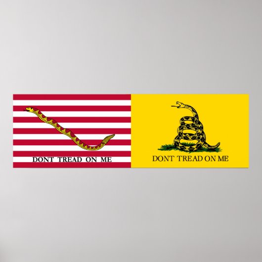 The Navy Jack & Gadsden Flags - Circa 1775-76 Poster (Vorne)