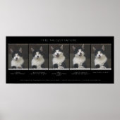 "THE NEGOTIATOR" Funny Cat Foto Sequence Poster (Vorne)